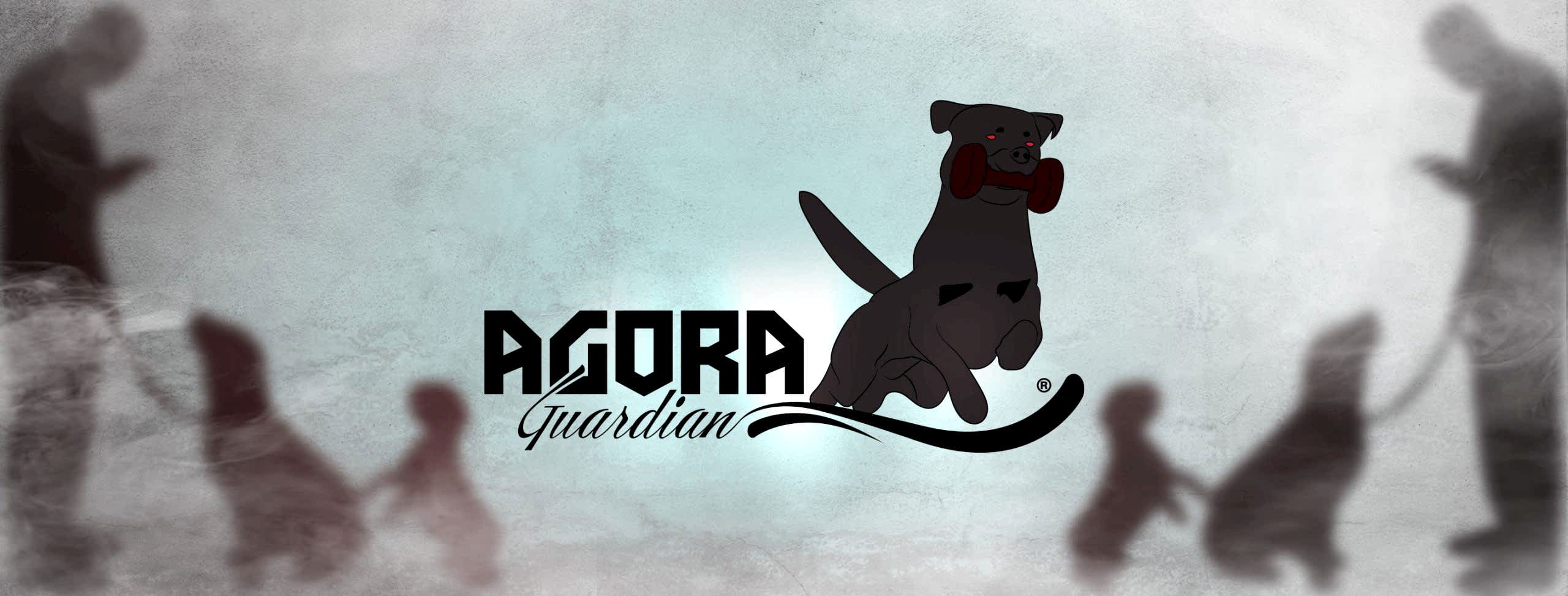 izmir köpek eğitimi